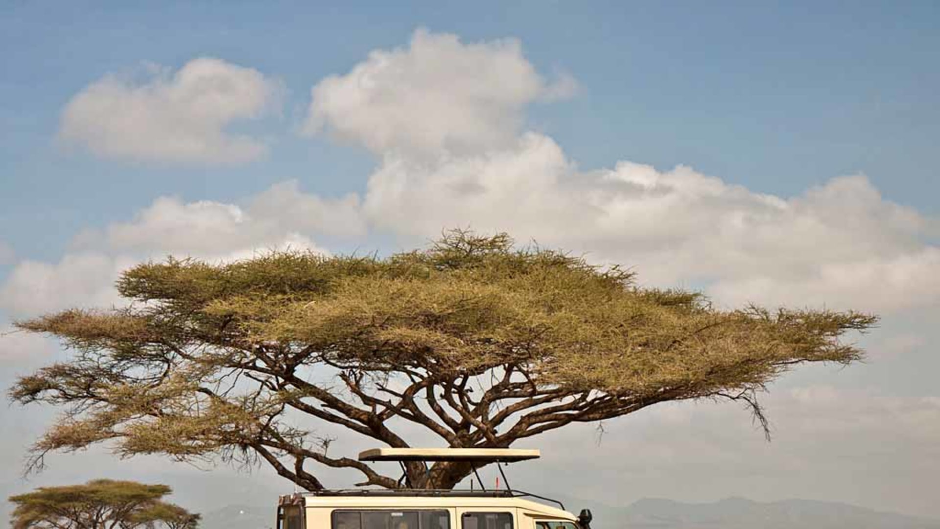In Kleingruppe durch Tansanias berühmte Safariparks 